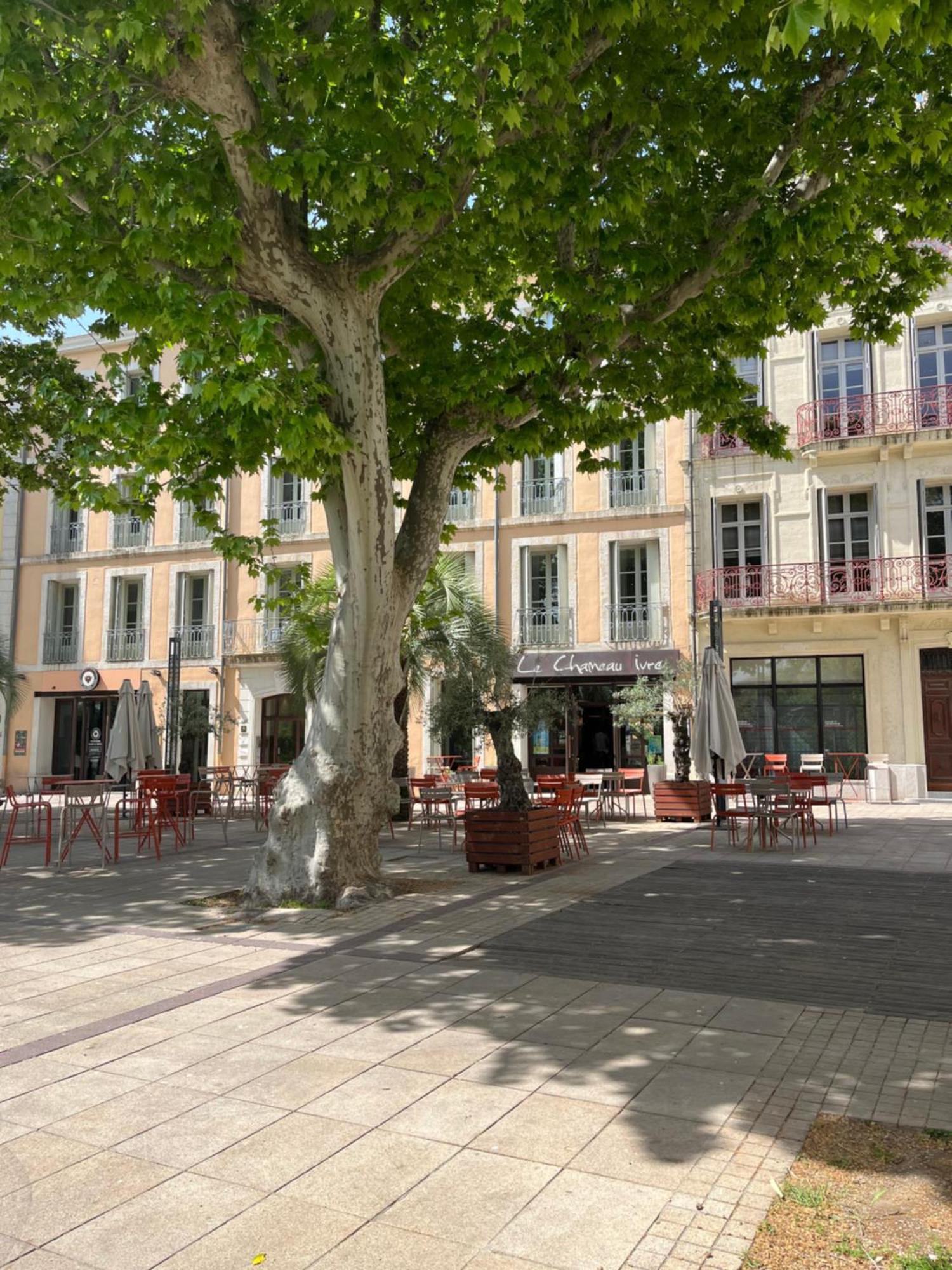 Joli Appartement Hypercentre T2, Classe Meuble De Tourisme 3 Avec Parking Gratuit Béziers Exterior foto